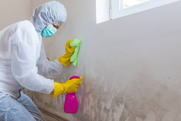 Mold Documentation for Insurance Claims in Prairie Grove, IL